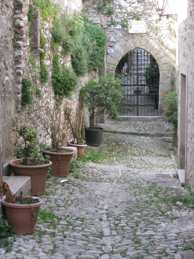 I like the plants and the gate on this cobblestone side street in Erice.