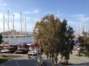 Looking onto the marina and the castle.