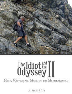 Cover of “The Idiot and the Odyssey II”