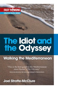 Cover of "The Idiot and the Odyssey"