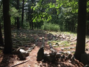 Amazed in the woods.