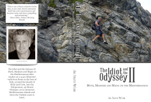 Paperback cover proposal.