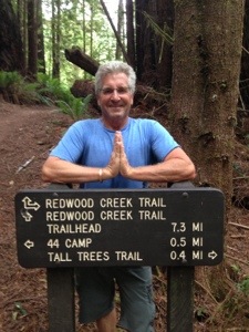 Hiking over 16 miles on the Redwood Creek Trail.