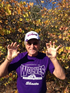 #1 - A vicious Shasta wolf.