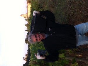 Idiot-ic grape picker.