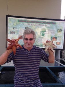 Catching stars in a scientific touch tank.