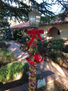 Party One in Palo Cedro featured local tri-tip and homemade persimmon cookies.