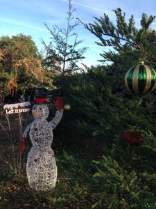 Smiling snowman and outdoor ornaments on a sunny Saturday afternoon.