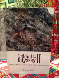 Buy "The Idiot II" to gently coast into 2014.