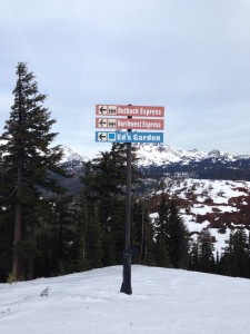 Skiing on Downunder, Wallaby, Bushwacker and other trails in Mount Bachelor's Outback.