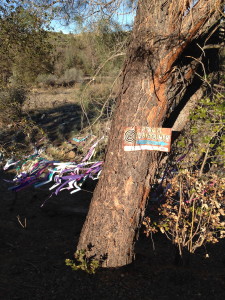 Prayer flags are the latest addition to the Peace Labyrinth on the Sacramento River Trail