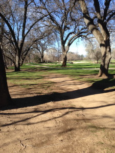 Pastoral and peaceful Riverview Golf Course and Country Club.