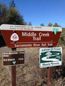 After meditatively walking through the Peace Labyrinth, The Idiot leaves the Sacramento River behind.