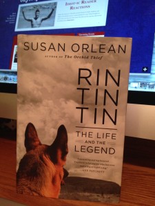 A fascinating account of our most famous canine cinematic celebrity.