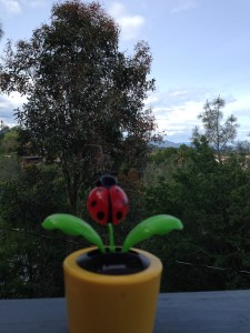 Forget the groundhog. My solar butterfly has never been wrong about predicting spring.