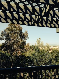 View from my sleeping bag during my weekend campout on my suspended deck.