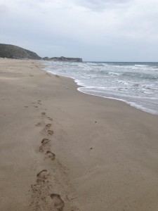 The current MedTrek kicked off on the 12-kilometer long Patara Beach.....