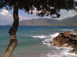 "Don't Turn Crete To Concrete."