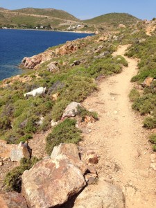 A pre-privatization seaside path and goat on Patmos.