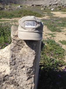 The Idiot in the stadium at Perge.