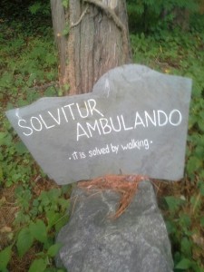 Stumbling on a communicative stone at Glastonbury Abbey.