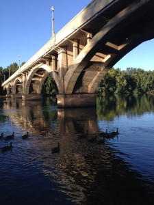 A gaggle of geese swim upriver under the Dieselhorst Bridge in Redding, CA.