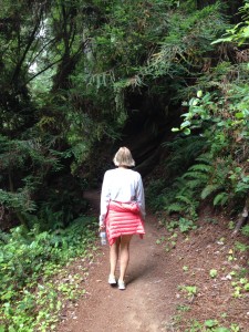 The Redwood state and national parks have well-tended paths.