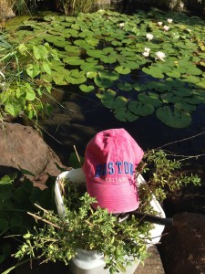 Listening to the Sounds of Water in the Turtle Bay Exploration Park.