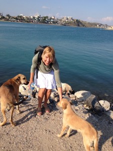 No fees for stray dogs in Yumurtalik's port to join union for first five years. 