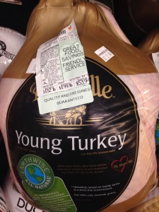 You can get to know your personal Turkey for about $50.