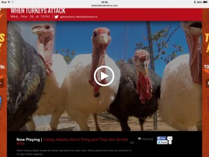 "When Turkeys Attack" on Destination America.