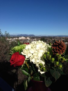 "They call this the first day of winter, but actually it is the beginning of winter's death." - 365 Tao Daily Meditations.