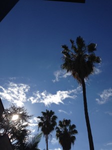 The azure LA sky has a reassuring Mediterranean tint.