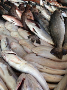 Fresh fish are an inexpensive staple along Turkey's Mediterranean coast.