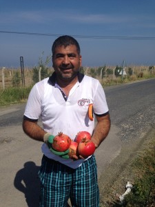 Turkish farmers frequently give The Idiot fresh fruit, like these pomegranates.