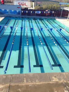 The Idiot swam in each lane of the empty pool at the YMCA.