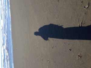 The Idiot's takes a shadowy selfie to celebrate Groundhog Day.