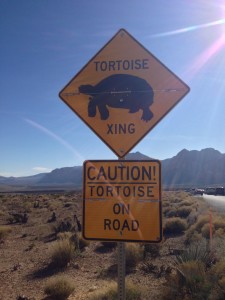 The Idiot made it to Red Rock Canyon without hitting a tortoise or a hare.