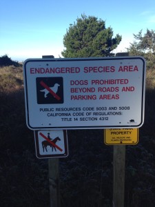 The dogs knew from experience that they'd be banned from "Endangerd Species Areas."