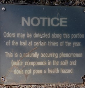 Environmental sign: And to think that The Idiot thought he smelled a rat.