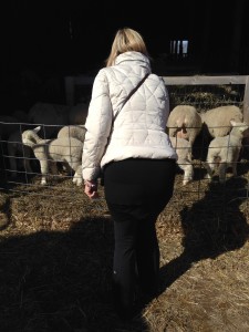 Veteran MedTrekker Liz Chapin said farewell to lambs and sheep in Vermont and prepared to head to Cyprus.
