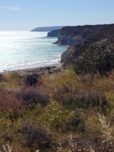 The Idiot spent two hours exploring the Kourion Archeological Site, which has been described as "the Acropolis of Cyprus," before cliff-walking towards Aphrodite's Rock, the purported birthplace of the goddess of love, beauty and sexuality..