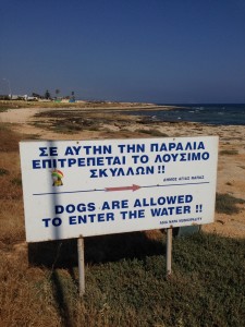 And he was delighted that dogs have their own beach near Agia Napa.