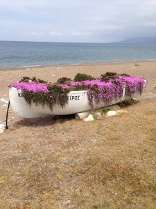 The relaxing Mayflower boat on the Latchi beach.