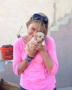 Liz and her affection for every dog in Cyprus have held up the MedTrekking group for hours.
