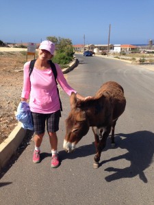 The Idiot saw dozens of wild donkeys during today's MedTrek around the Karpaz Peninsula but Liz picked this one up outside the seaside Apostolos Andreas Monastery.