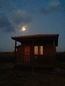 Awakening at 5 am in seaside bungalows near Dipkapaz in the Turkish Republic of Northern Cyprus.