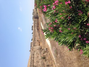 After MedTrekking over 750 kilometers around Cyprus, The Idiot entered Famagusta's walled city and was given a brochure at the Tourist Information office.