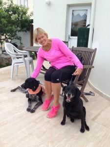 Liz takes two dogs to a vet for a check=up near Kyrenia/Girne.