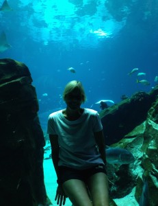 Plotting an underwater escape in case of any problems while MedTrekking the coasts of Lebanon and Israel in September.